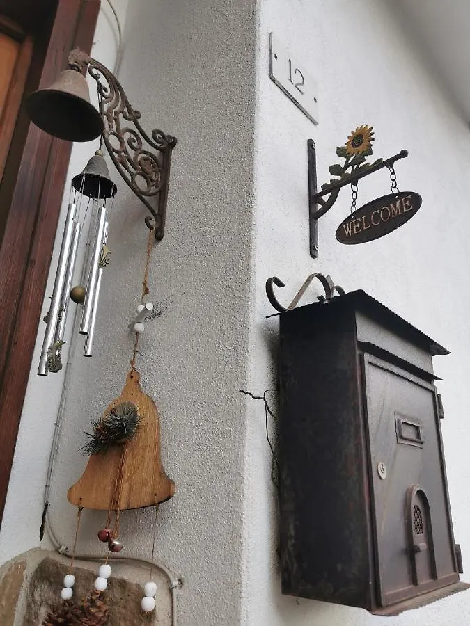 Casa Phoenix Appartamento Piano Terra Immerso Nel Verde A Pochi Minuti Dalla Ciclabile Pieve di Cadore Italia